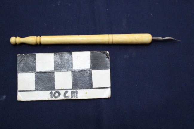 Pena Celup 1