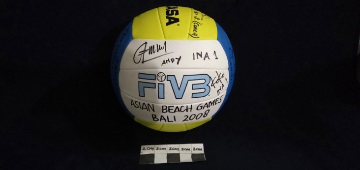 BOLA VOLLY