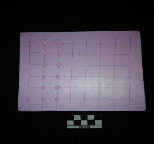Gabus Sebagai Tatakan Obat (2)