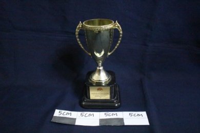 Piala Juara I Singapore Master Athletic 2010